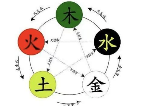 木火土金水|「万物类象」金、水、木、火、土五行取象